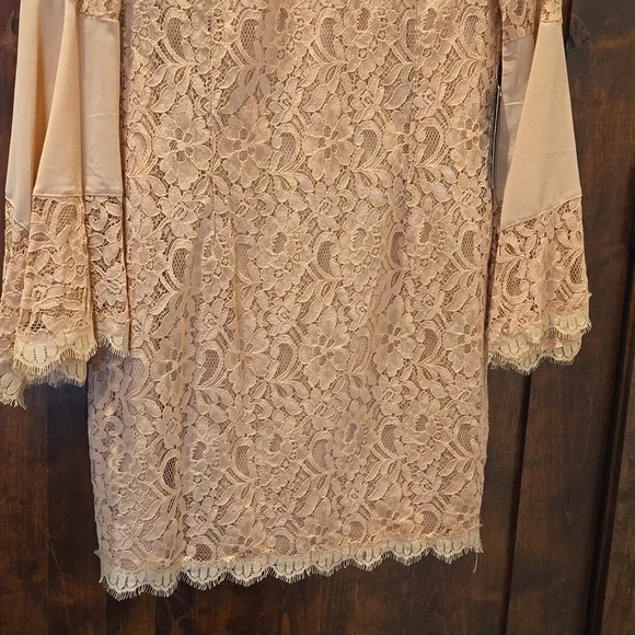 Venus Lace Sheath Bodycon Dress with Bell Sleeves sz 10 NWT - Picture 8 of 16
